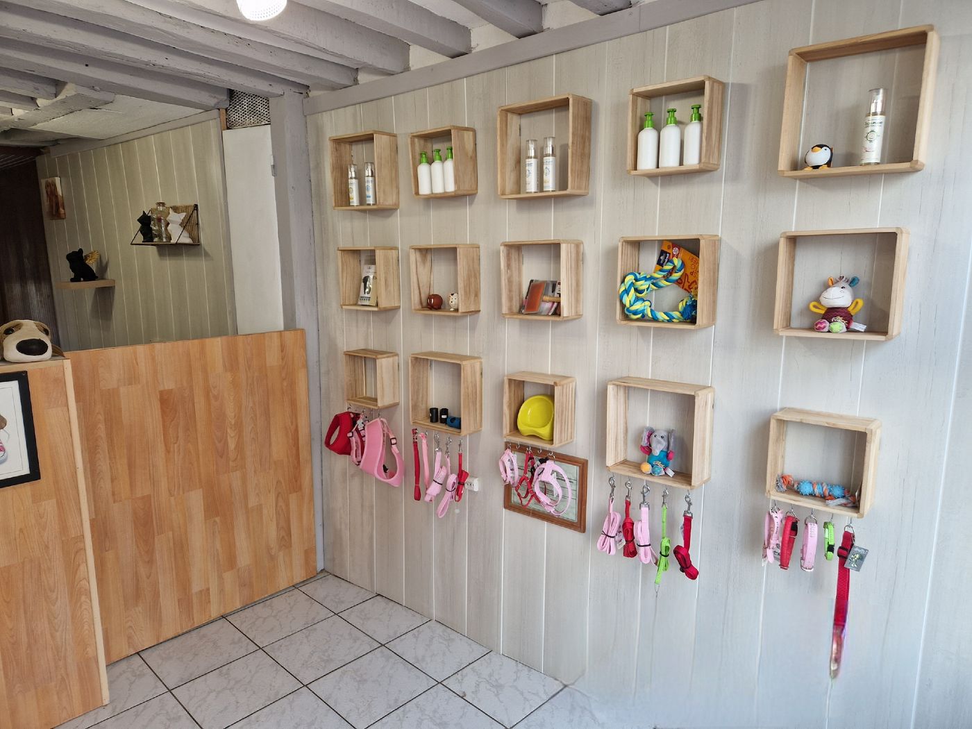 Le mur d'accessoires : laisses, colliers et jouets