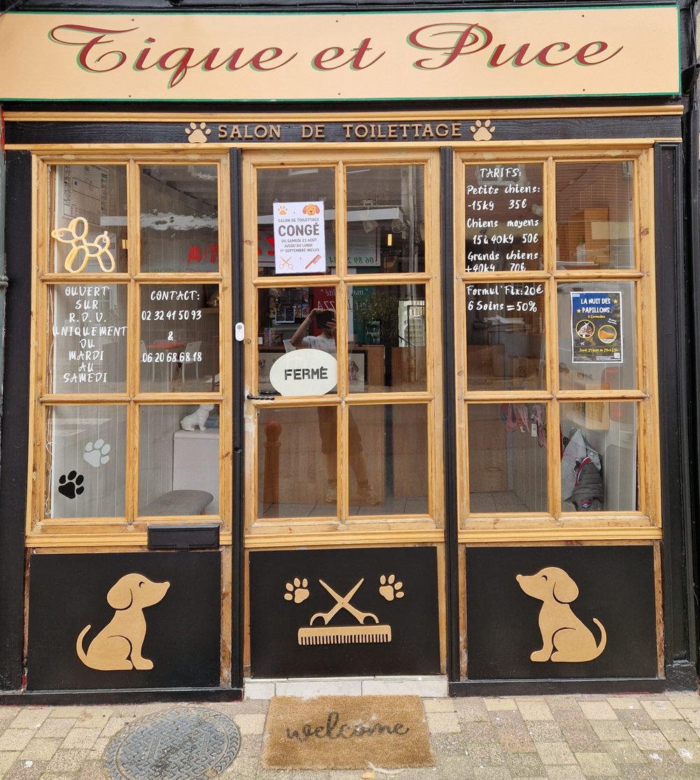La vitrine du salon Tique et Puce, 1 rue de Malou à Cormeilles